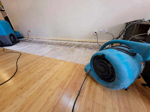 Professional Water Removal technician working in Jacksboro, TN